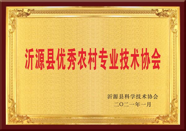 荣誉资质
