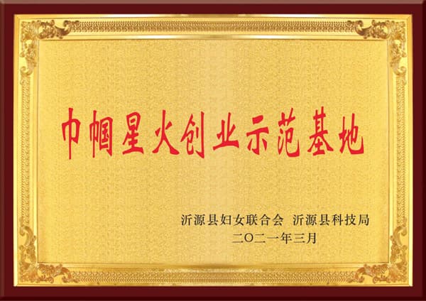 荣誉资质